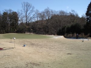 20090307