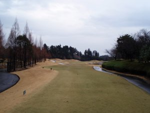 20090320