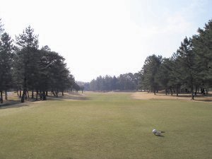 20090404