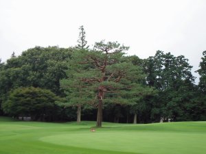 20090709