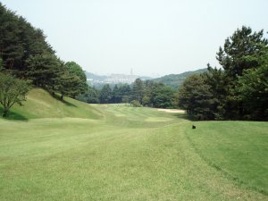 20080523