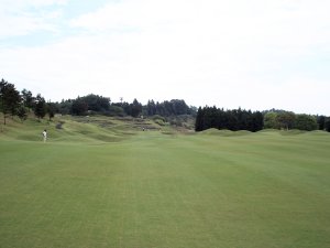 20080524