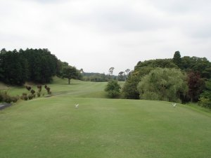 20080618