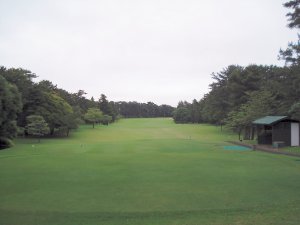 20080626