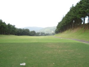 20080726