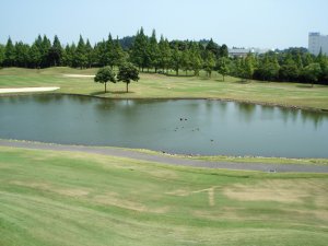 20080803