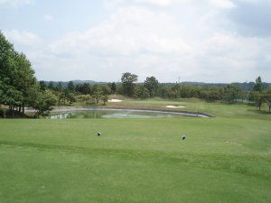 20080811