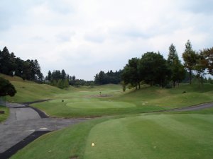 20081005