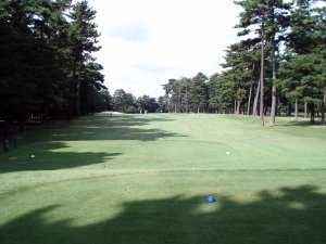 20081009