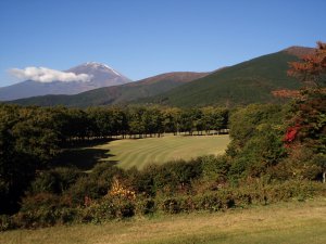 20081028