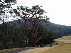 20081230