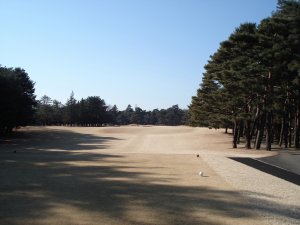 20090117