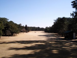 20090208
