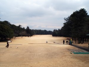 20090211