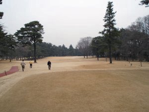 20090213