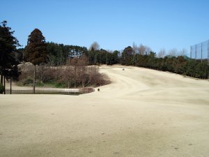 20090312