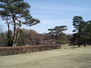 20090403