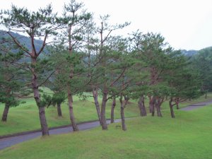 20090605