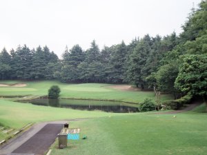 20090611