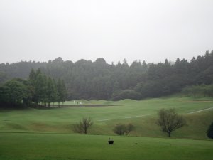 20090628
