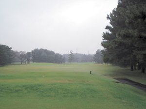 20091006