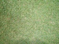 20080705