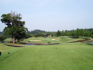20080706