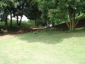 20080721