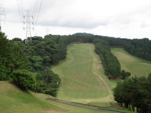 20080726
