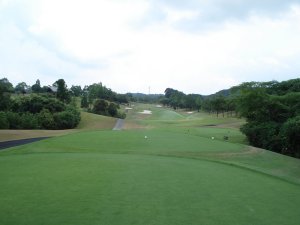 20080811