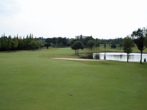 20081005
