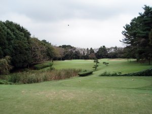 20081007