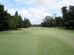 20081009
