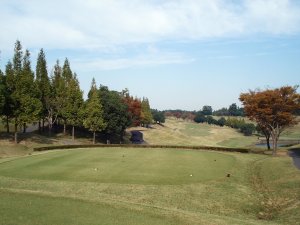 20081102