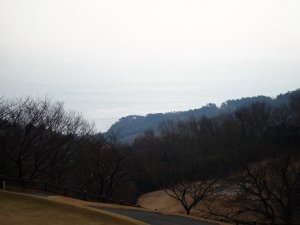 20081230