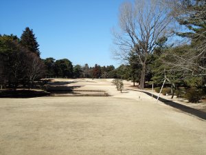 20090125