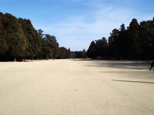 20090219
