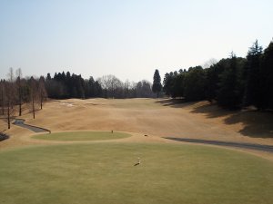 20090319