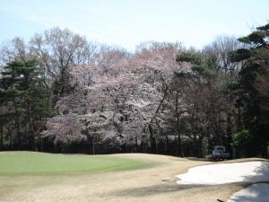 20090403
