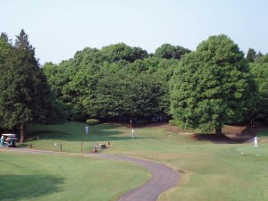 20090526
