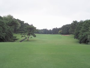 20090611