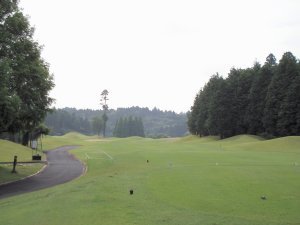 20090612