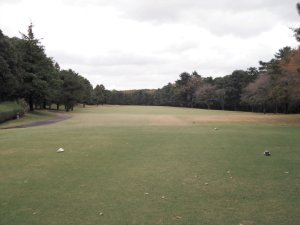 20091112