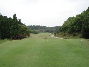 20080618