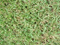 20080801