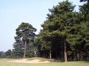 20081022