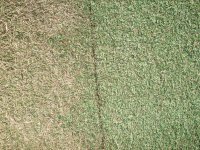 20081212