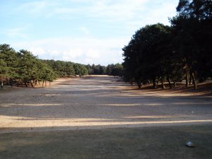 20081102