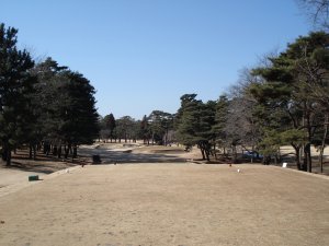 20090117