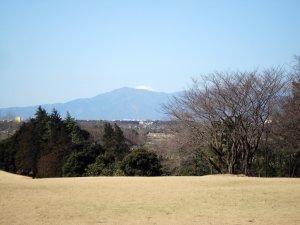 20090312